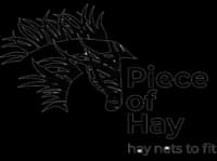 Piece Of Hay